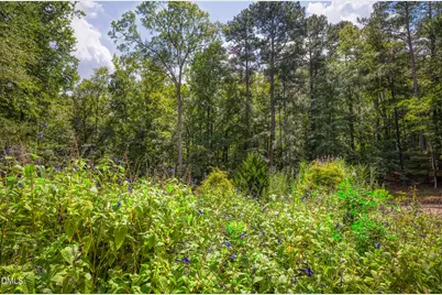 67 Bingham Ridge Drive, Pittsboro, NC 27312 - Photo 56