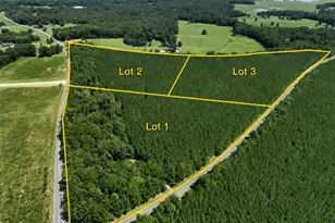 Lot 3 Haw Branch Rd, Goldston, NC 27252 - Photo 1