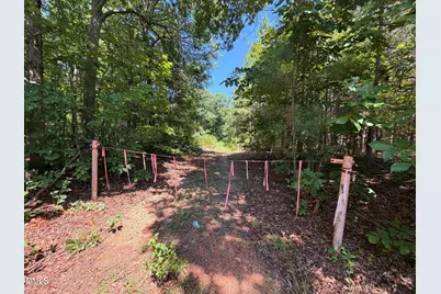 Lot 3 Haw Branch Road, Goldston, NC 27252 - Photo 22