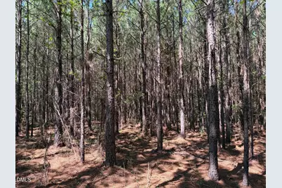 Lot 3 Haw Branch Road, Goldston, NC 27252 - Photo 20
