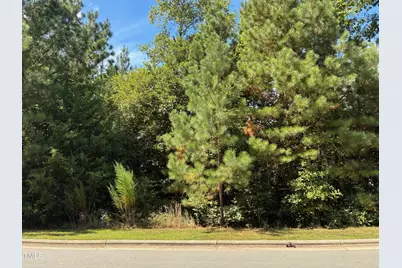 48 Sweet Meadow Lane, Pittsboro, NC 27312 - Photo 6