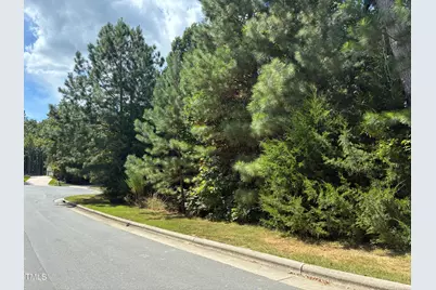 48 Sweet Meadow Lane, Pittsboro, NC 27312 - Photo 4
