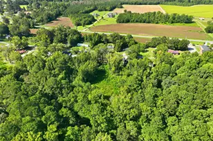 207 Pendergraft Rd, Bunnlevel, NC 28323 - Photo 32