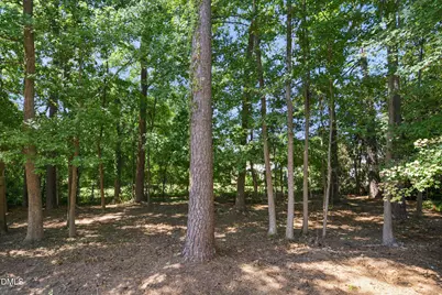 2334 School Creek Place, Raleigh, NC 27606 - Photo 36
