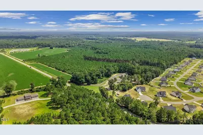 850 Horseshoe Bend Road, Erwin, NC 28339 - Photo 6