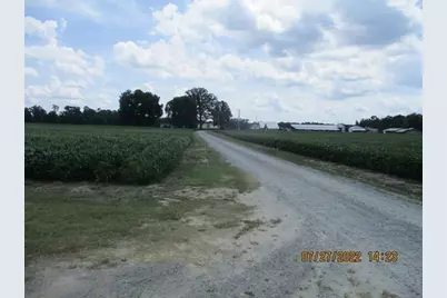 382 Pig Cradle Lane, Clinton, NC 28328 - Photo 6