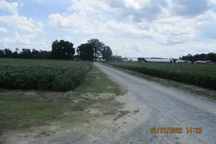 382 Pig Cradle Ln, Clinton, NC 28328 - Photo 6