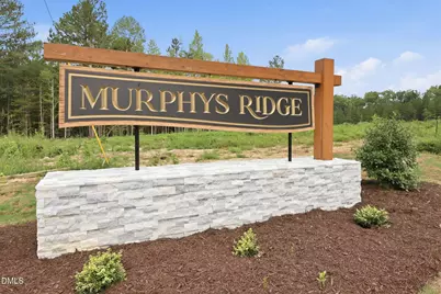 Lot 11 Poppy Mallow Lane, Oxford, NC 27565 - Photo 46