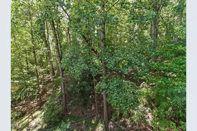 117 Abingdon Court, Cary, NC 27513 - Photo 28