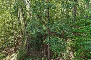117 Abingdon Ct, Cary, NC 27513 - Photo 28