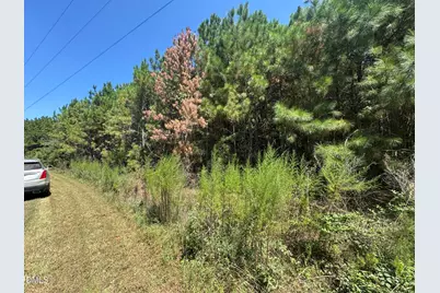 135 Mandolin Way, Warrenton, NC 27589 - Photo 4