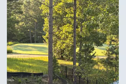 453 Golfers View, Pittsboro, NC 27312 - Photo 34