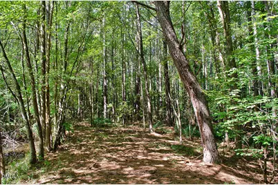 010 Rock Mill Road, Henderson, NC 27537 - Photo 18