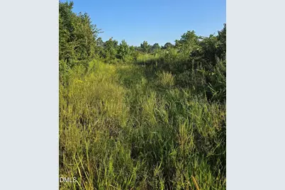 4955 Dailey Store Road, Burlington, NC 27217 - Photo 8