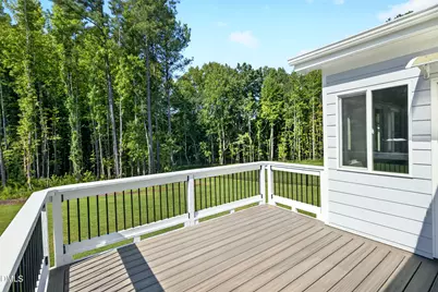 613 Darian Woods Drive, Holly Springs, NC 27540 - Photo 68