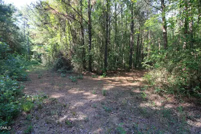 0 Johnson Pond Road, Red Springs, NC 28377 - Photo 28