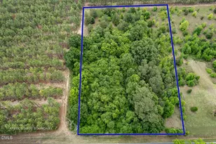 401 Johnson Pond Rd, Red Springs, NC 28377 - Photo 1