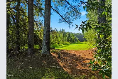 0 Green Pond Road, Sims, NC 27880 - Photo 8