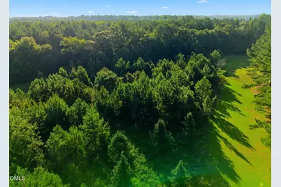 0 Green Pond Road, Sims, NC 27880 - Photo 10