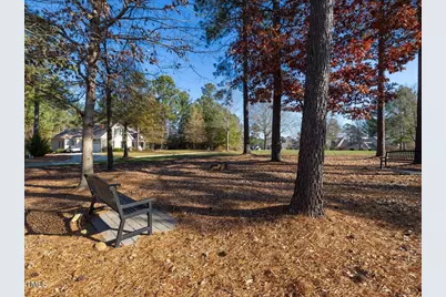 12 Cabin Creek Creek, Pittsboro, NC 27312 - Photo 30