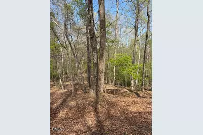 00 Seven Island (Tr 3) Road, Danbury, NC 27016 - Photo 4