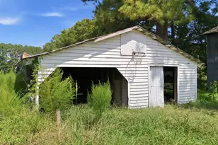2695 Lizzie Mill Rd, Selma, NC 27576 - Photo 32