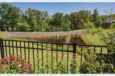 256 Ellsworth Manor Drive, Hillsborough, NC 27278 - Photo 48