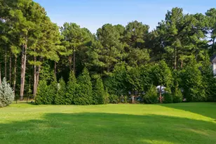 45 Costa Ct, Clayton, NC 27527 - Photo 54