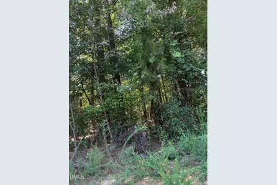 0 Williams Farm Road, Sanford, NC 27332 - Photo 1