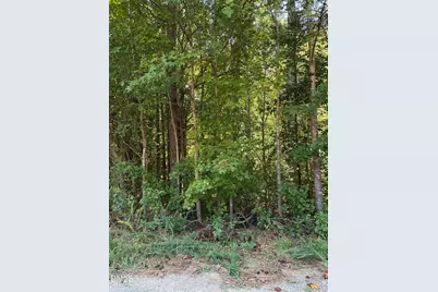 0 Williams Farm Road, Sanford, NC 27332 - Photo 4
