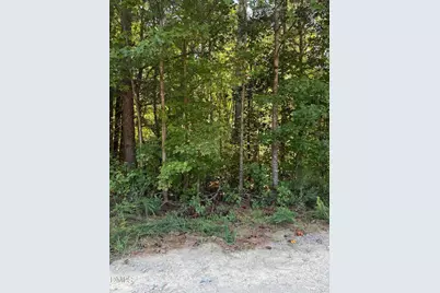 0 Williams Farm Road, Sanford, NC 27332 - Photo 2