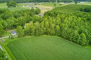0 Brame Rd, Kenly, NC 27542 - Photo 1