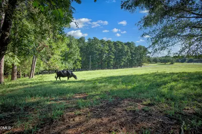 32 Wes Sandling Road, Franklinton, NC 27525 - Photo 36