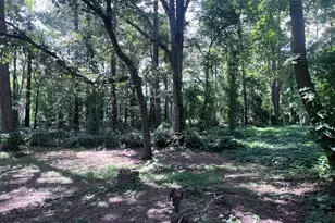 125 Booth Ave, Henderson, NC 27536 - Photo 8
