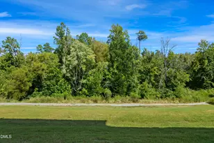 1112 Brimstone Wy, Durham, NC 27704 - Photo 20