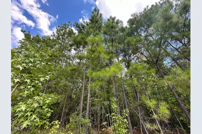 00 Nc-43, Macon, NC 27551 - Photo 6