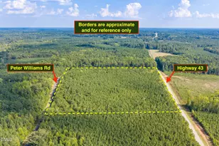 00 Nc-43, Macon, NC 27551 - Photo 1