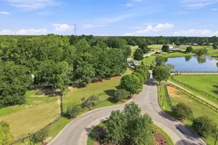 213 Allesandra Dr, Clayton, NC 27527 - Photo 48