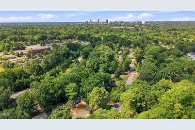 409 Culpepper Lane, Raleigh, NC 27610 - Photo 4