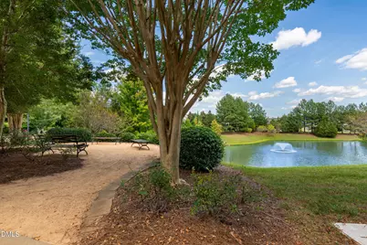 26 Danbury Court, Pittsboro, NC 27312 - Photo 24