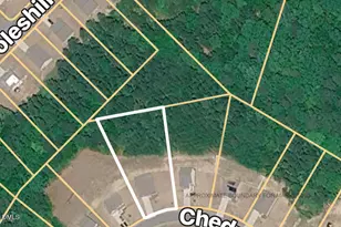 92 Chedworth Dr, Angier, NC 27501 - Photo 20