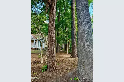 713 Beddingfield Drive, Knightdale, NC 27545 - Photo 16