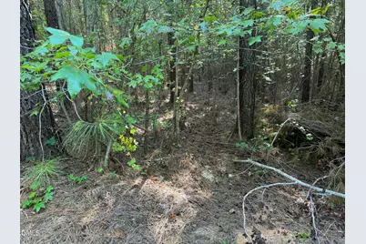 2220 New Sharon Church Road, Hillsborough, NC 27278 - Photo 12