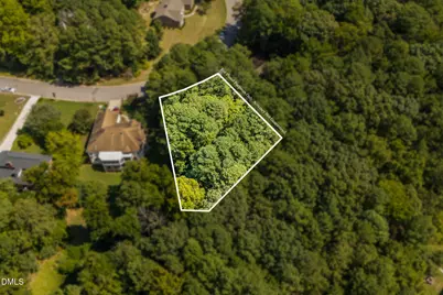 1318 Elmira Avenue, Durham, NC 27707 - Photo 8