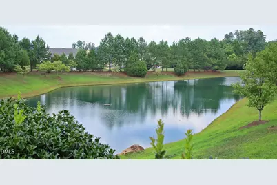 48 Danbury Court, Pittsboro, NC 27312 - Photo 28