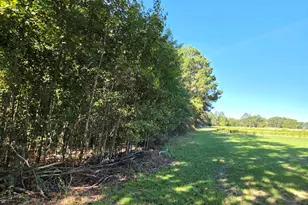 170 South River, Autryville, NC 28318 - Photo 70