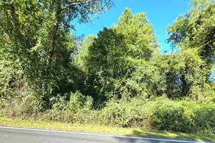 170 South River, Autryville, NC 28318 - Photo 68
