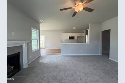52 Flatland Drive, Princeton, NC 27569 - Photo 4