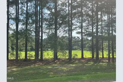 3405 Matthews Mill Pond, Angier, NC 27501 - Photo 2