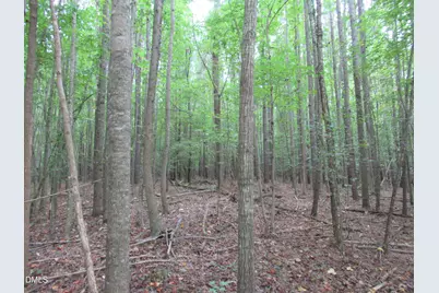 2643 Roberts Chapel Road, Goldston, NC 27252 - Photo 30
